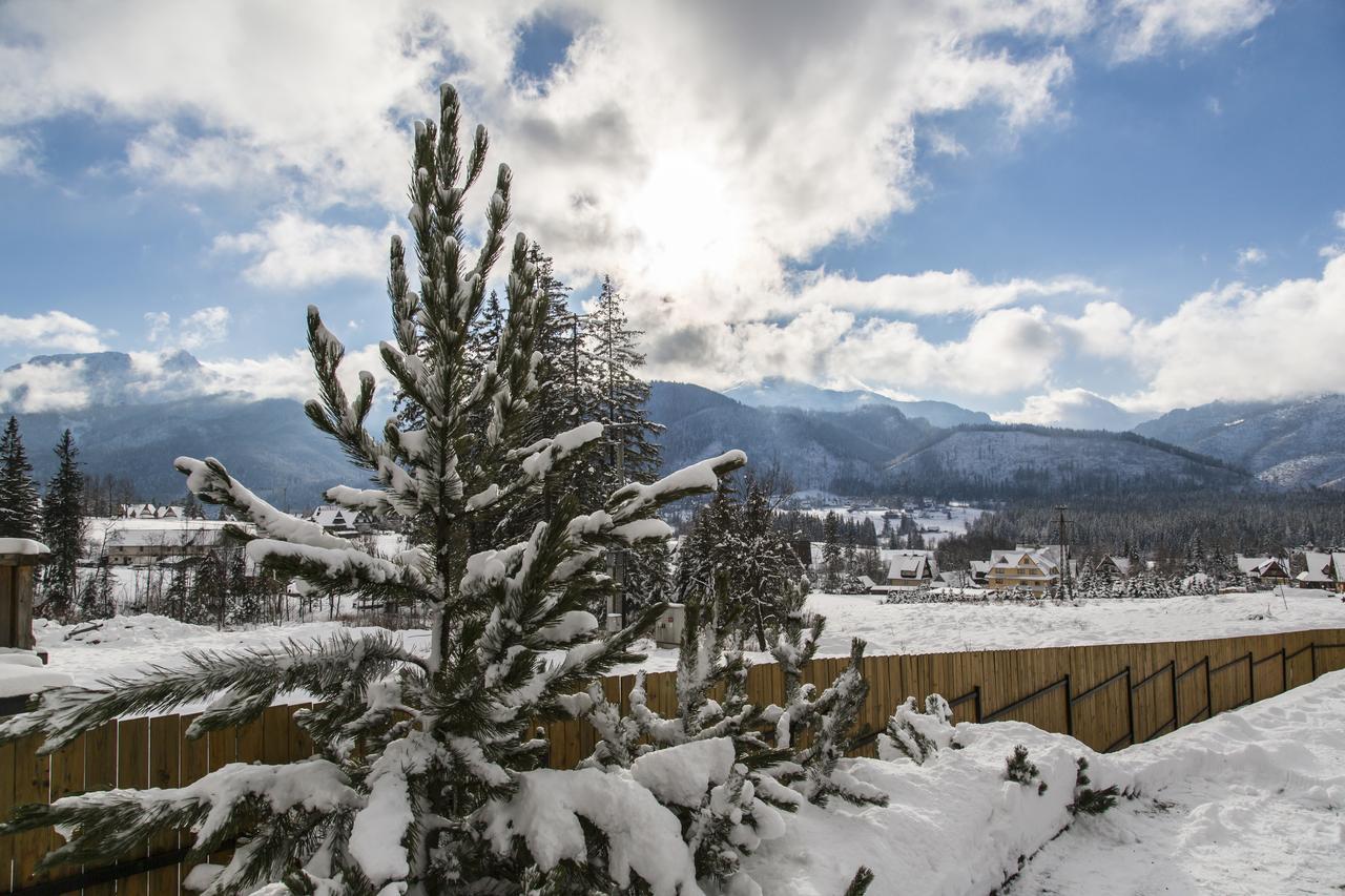 Udanypobyt Apartamenty Snowbird Koscielisko Exterior photo
